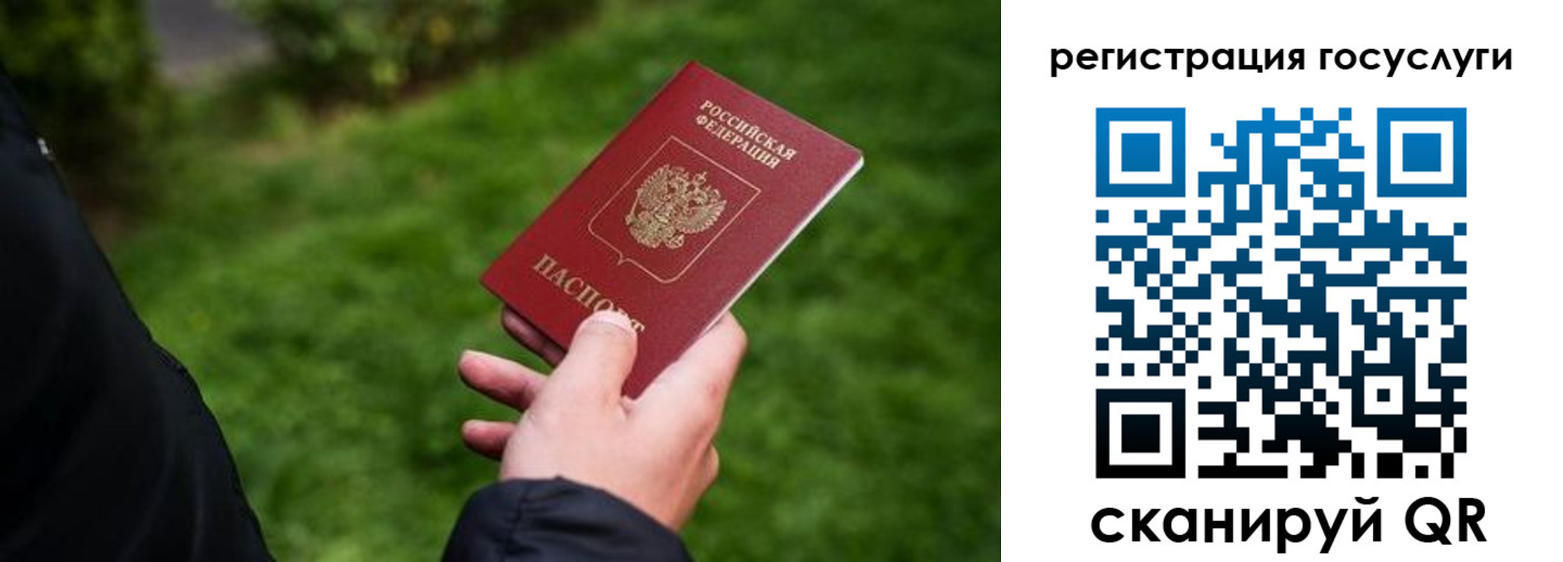 прописка в Суворове